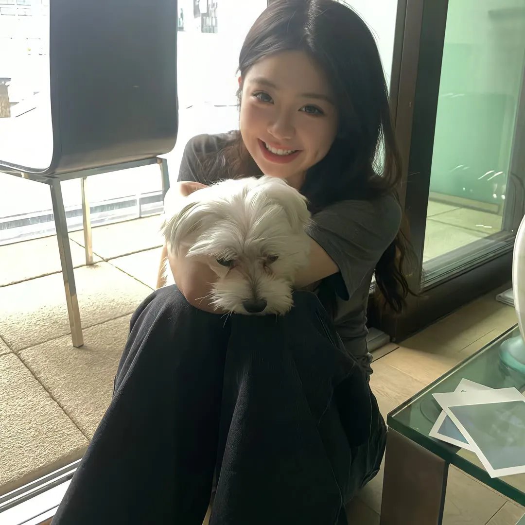 玉屏风
