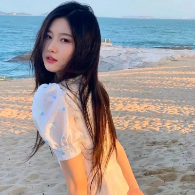 美国兔子的冒险